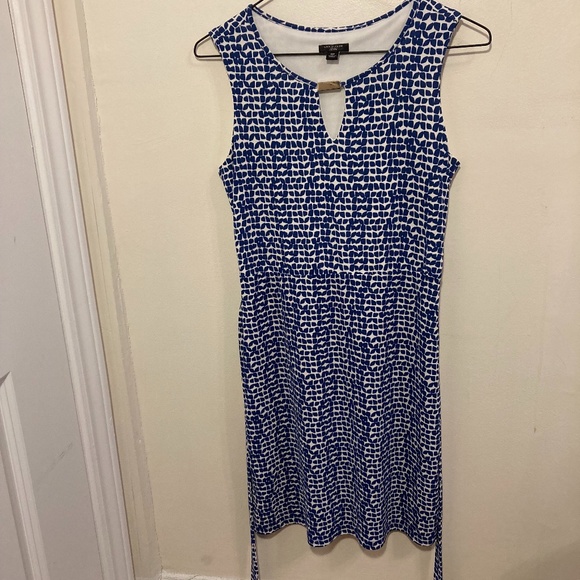 Ann Taylor 0P Blue and White Belted Dress with Front Decoration - Picture 4 of 4
